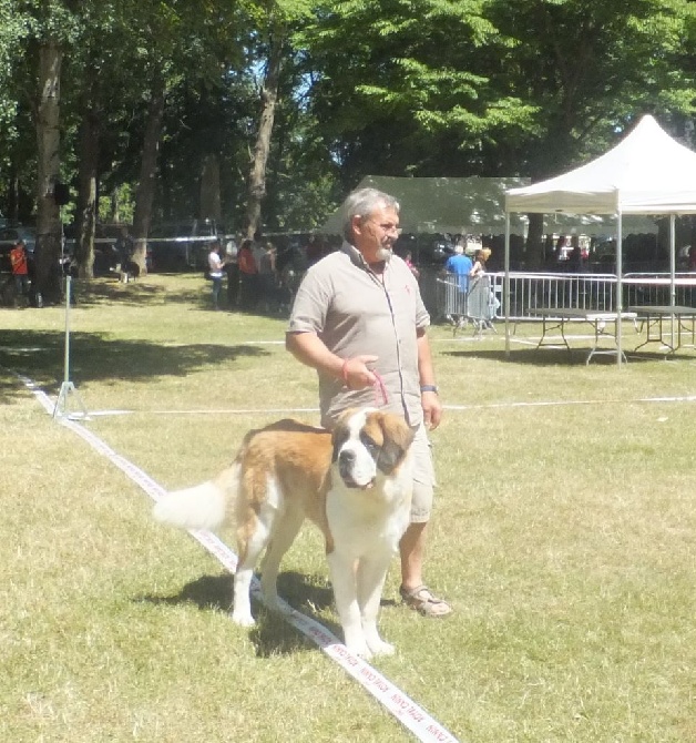 Régionale d'Elevage 27 Juin 2015