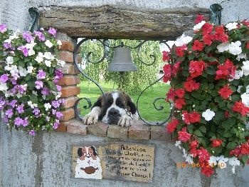 LES CINQ EPIS La vie de tous les jours